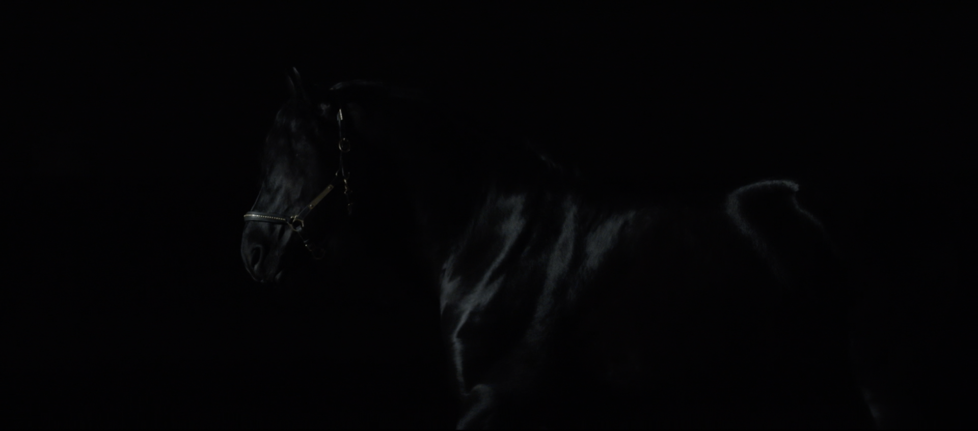 https://www.halpha.studio/wp-content/uploads/2022/12/centre-equestre-de-dole-7.png