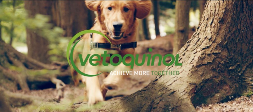 VETOQUINOL